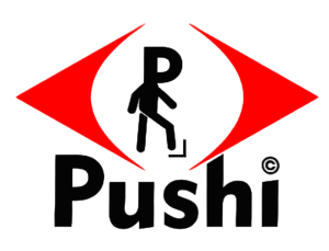 Logotipo de Pushi Sistemas