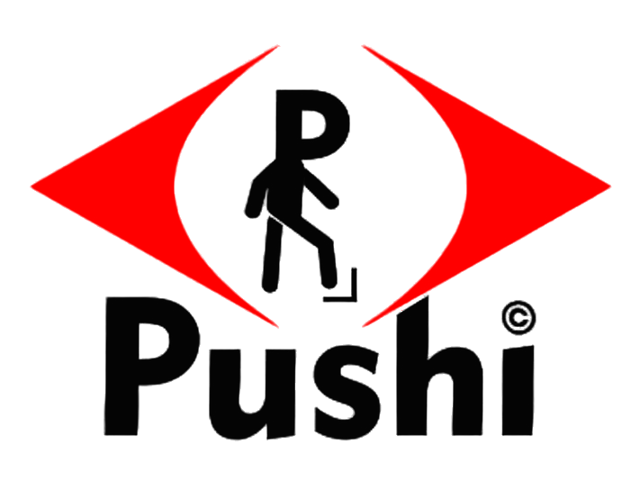 Logotipo de Pushi Sistemas